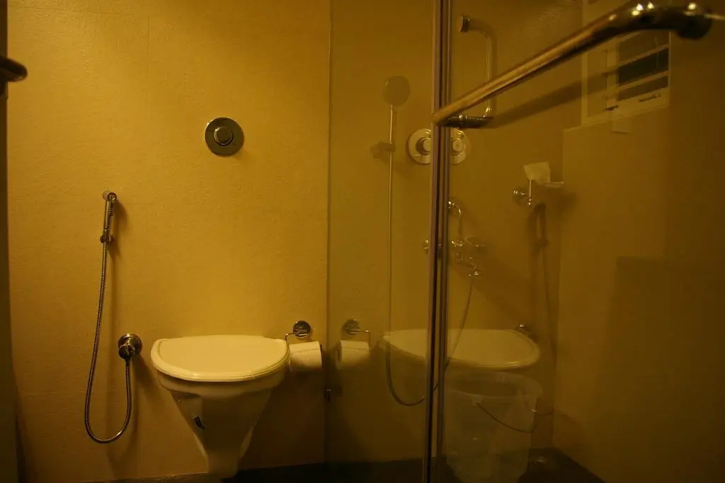 Roseline Suites - A Business Hotel - Général
