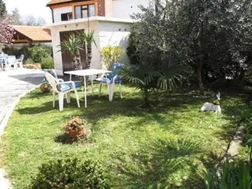 Apartment Franjo