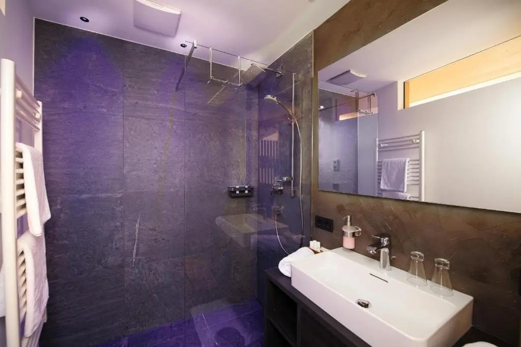 Hotel Alpina - Chambres