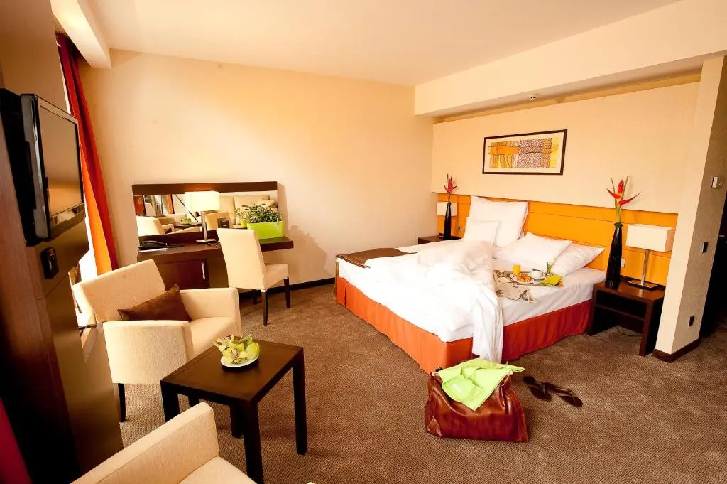 Abacus Business & Wellness Hotel - Général