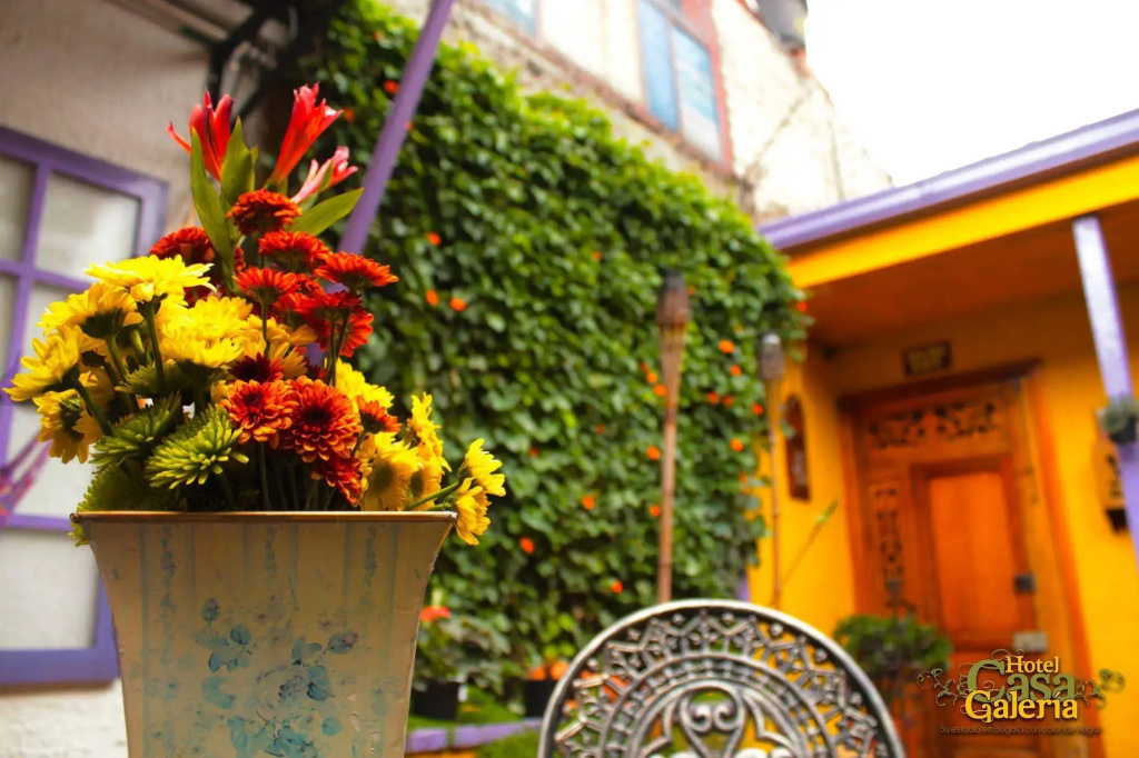 Hotel Casa Galeria