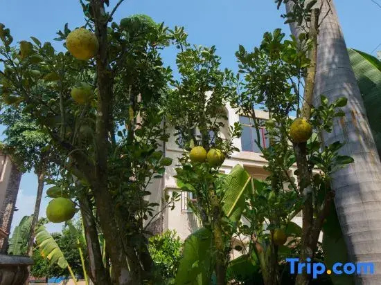 Xishuangbanna Lanzhu Villa Hotel - Général