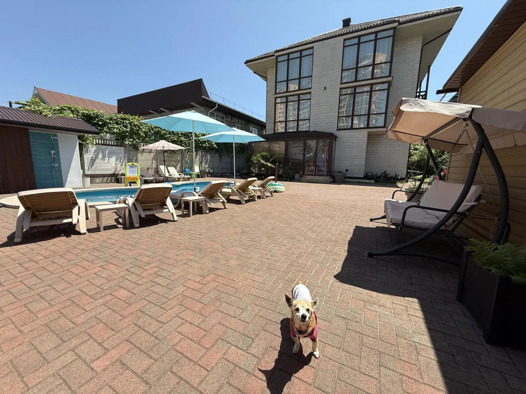 Hotel photo 14