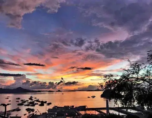 Bayview Gardens Hotel & Viewpoint