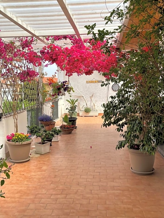 Hotel cappuccetto rosso