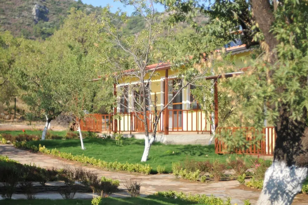 Hotel photo 11