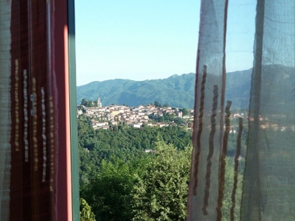 Balcony & Terrace