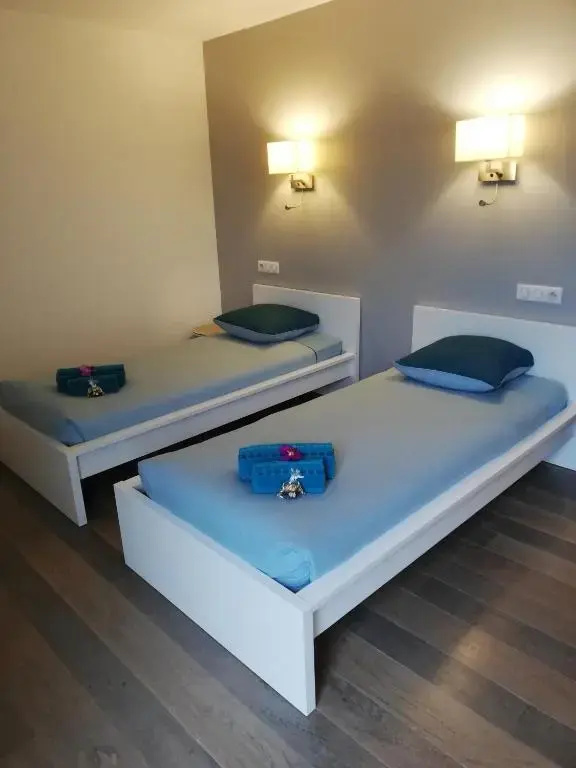 Standard Double room (twin beds)