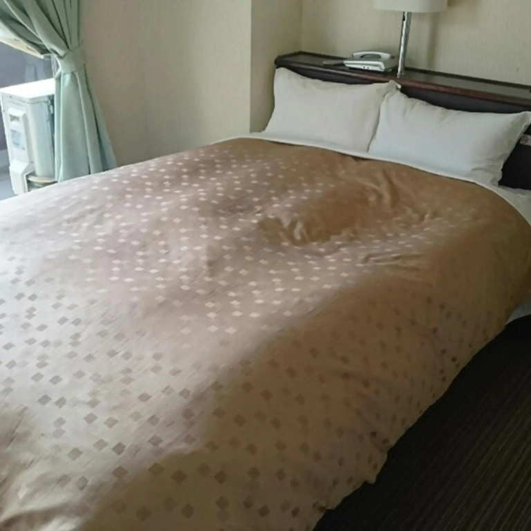 Hotel photo 35