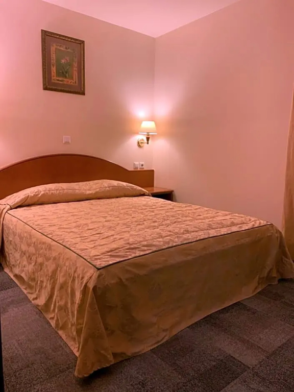 Hotel Mantova - Chambres