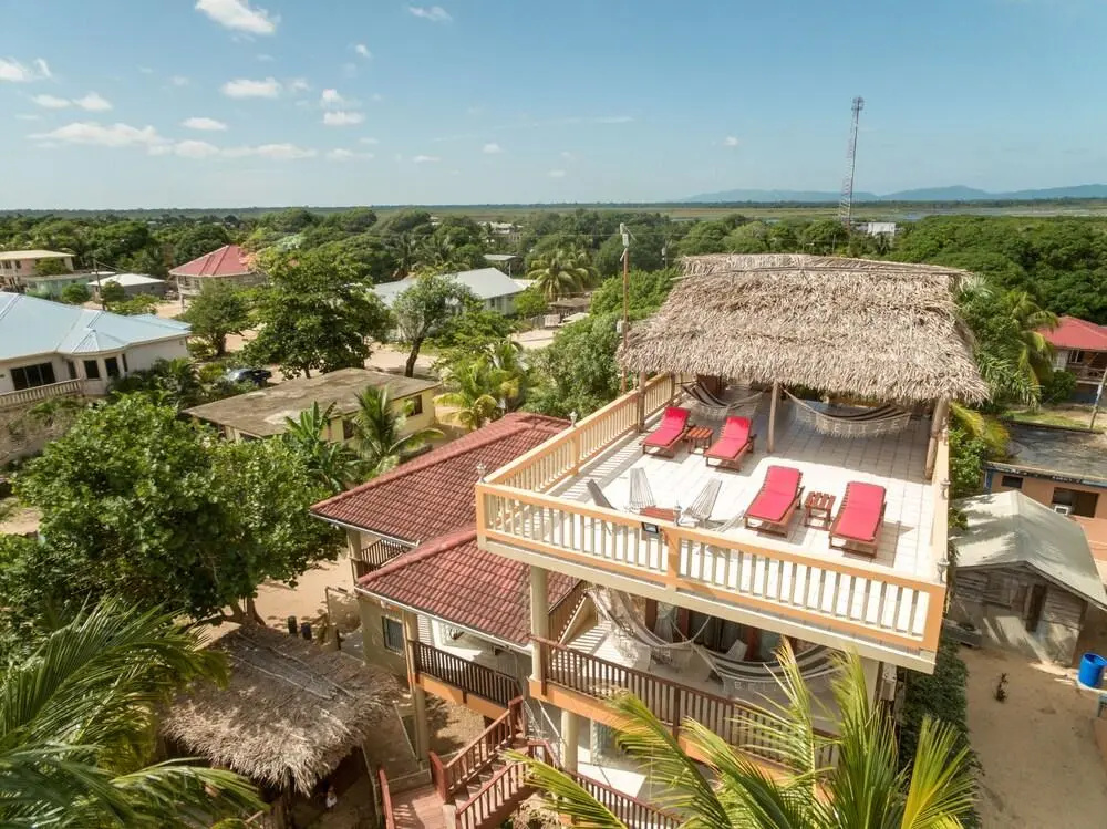 Buttonwood Belize