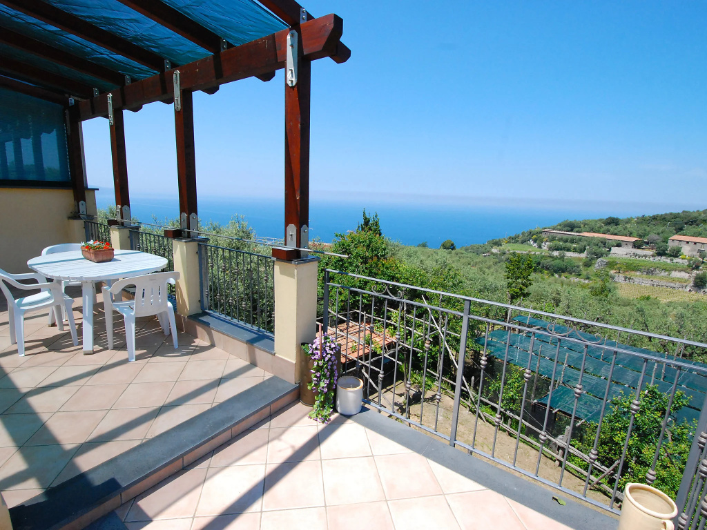 Balcony & Terrace