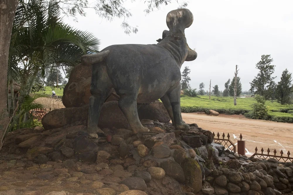 Nalipiri Eco Resorts