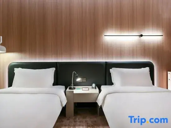Deluxe Double room with city view (twin beds)