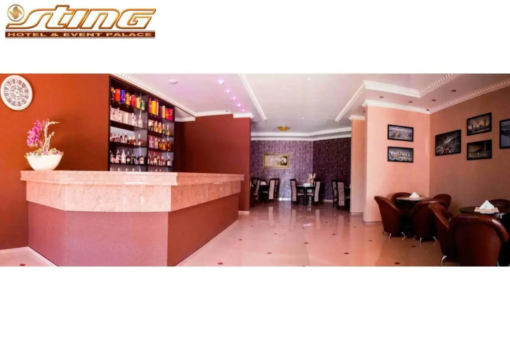 Sting Hotel & Event Palace - Général