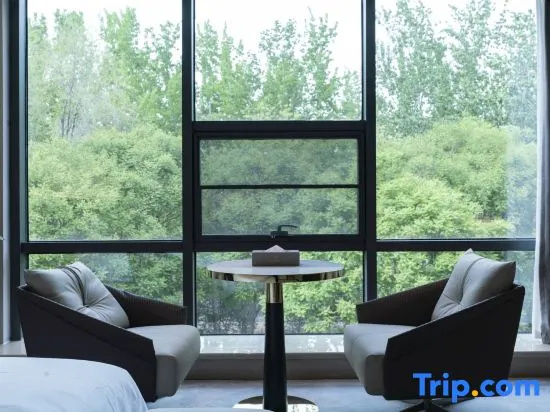 Balcony & Terrace