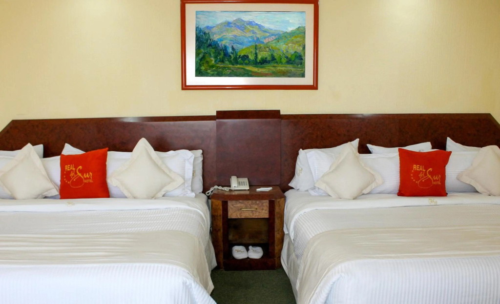 Hotel Real del Sur — 4