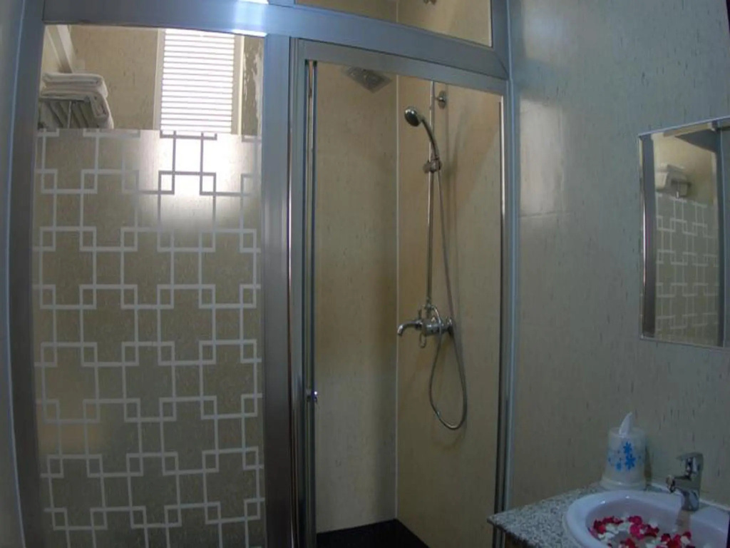 Superior Double room (full double bed)