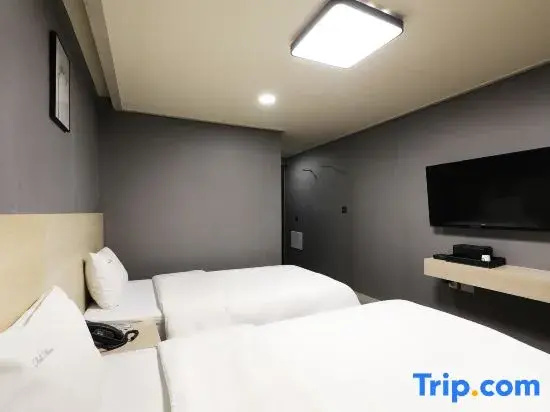 Standard Double room with city view (twin beds)