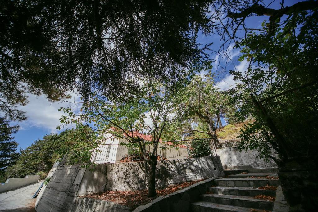 Отель Legacy 1930s, фото 1