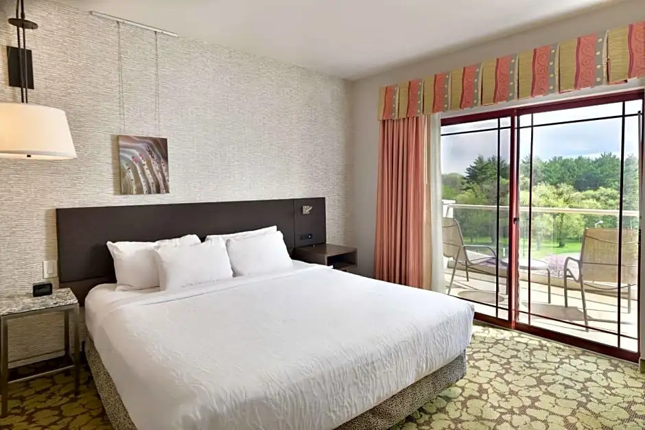 Hilton Garden Inn Wisconsin Dells - Chambres