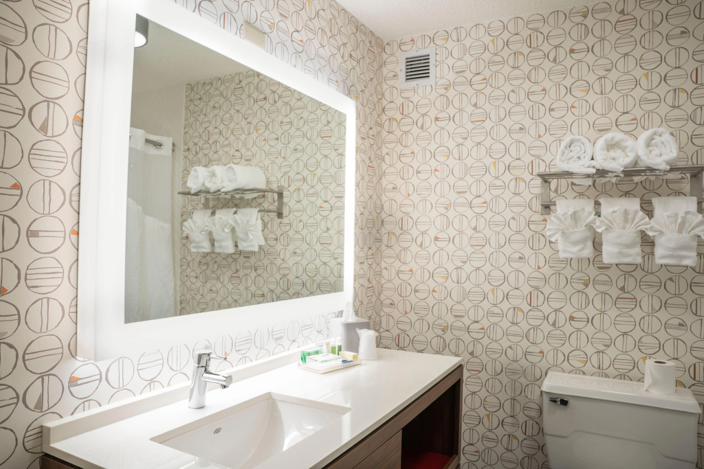 Holiday Inn Asheville Biltmore by IHG - Général