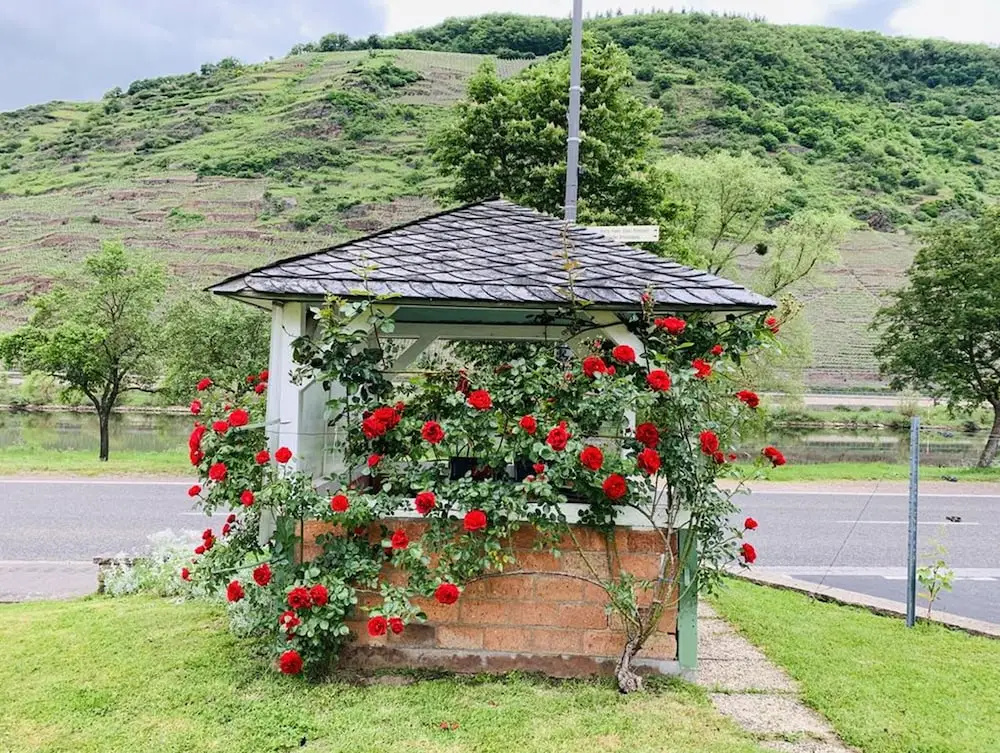 Weinbergs Loge