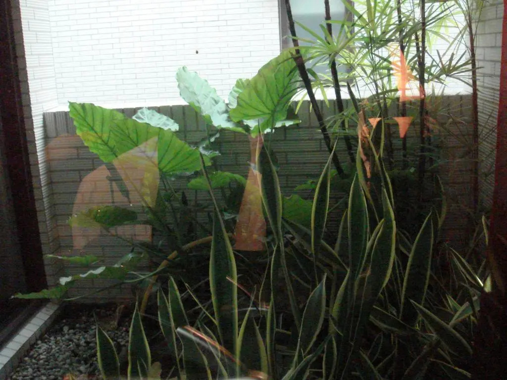 Deluxe Double Suite with courtyard view full double bed