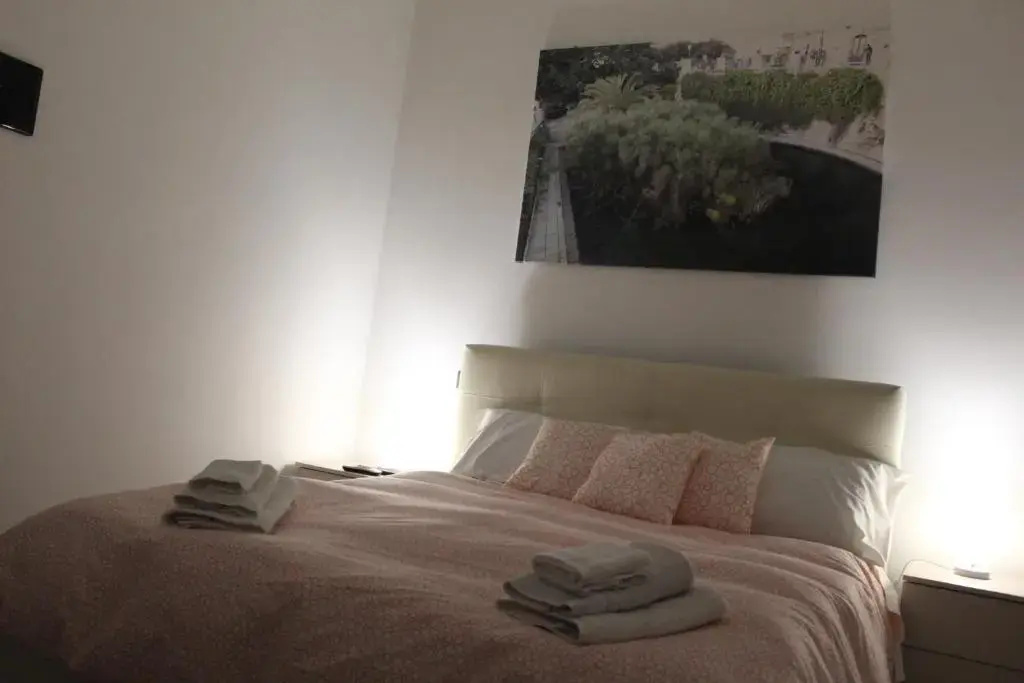Deluxe Double room with balcony (full double bed)