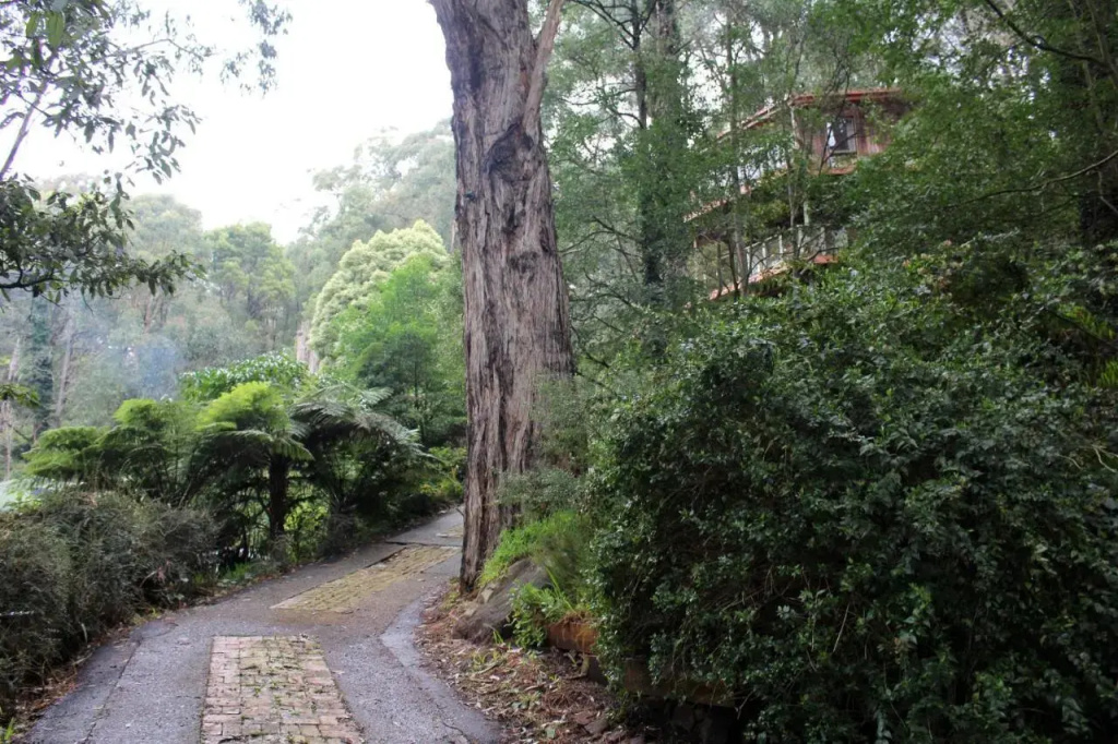 Risehill House - фото 5