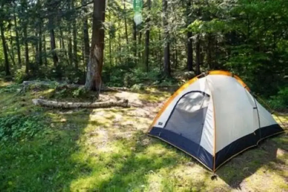 Tent
