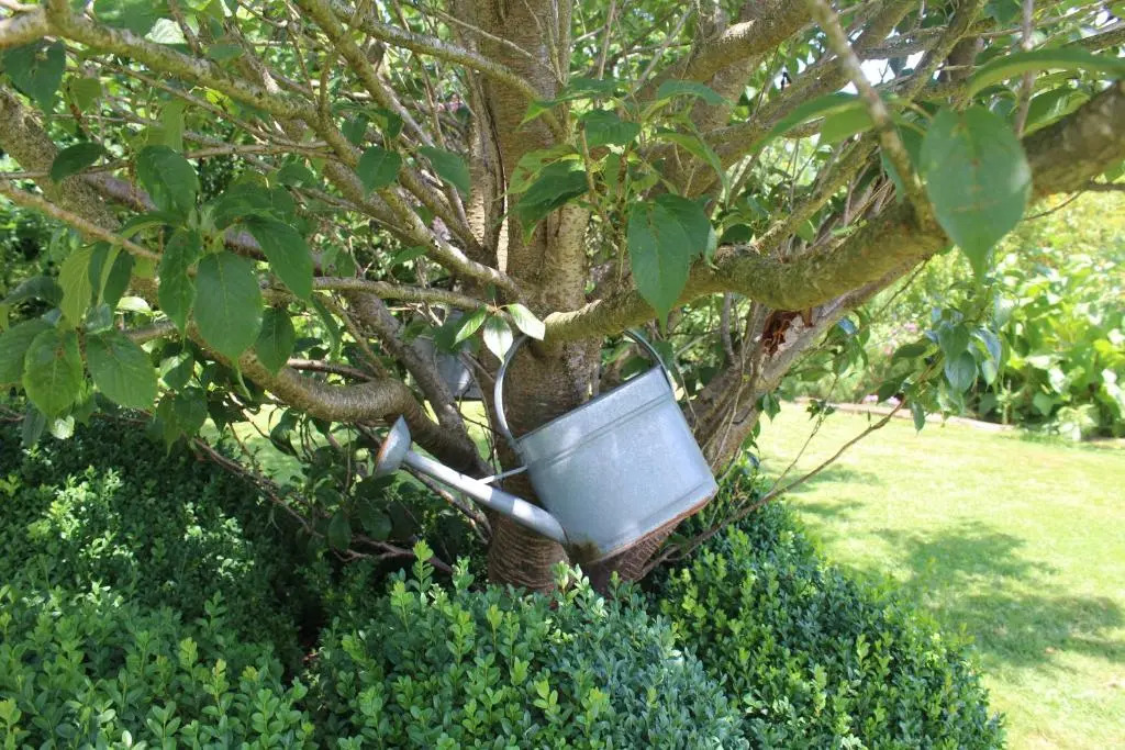 B&B Le Perchoir - фото 3