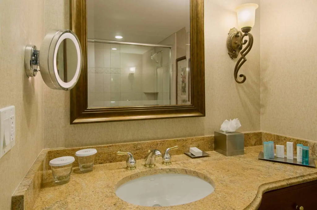 DoubleTree by Hilton Lisle Naperville - Chambres