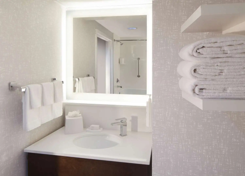 Hampton Inn & Suites Atlanta Airport North I-85 - Chambres