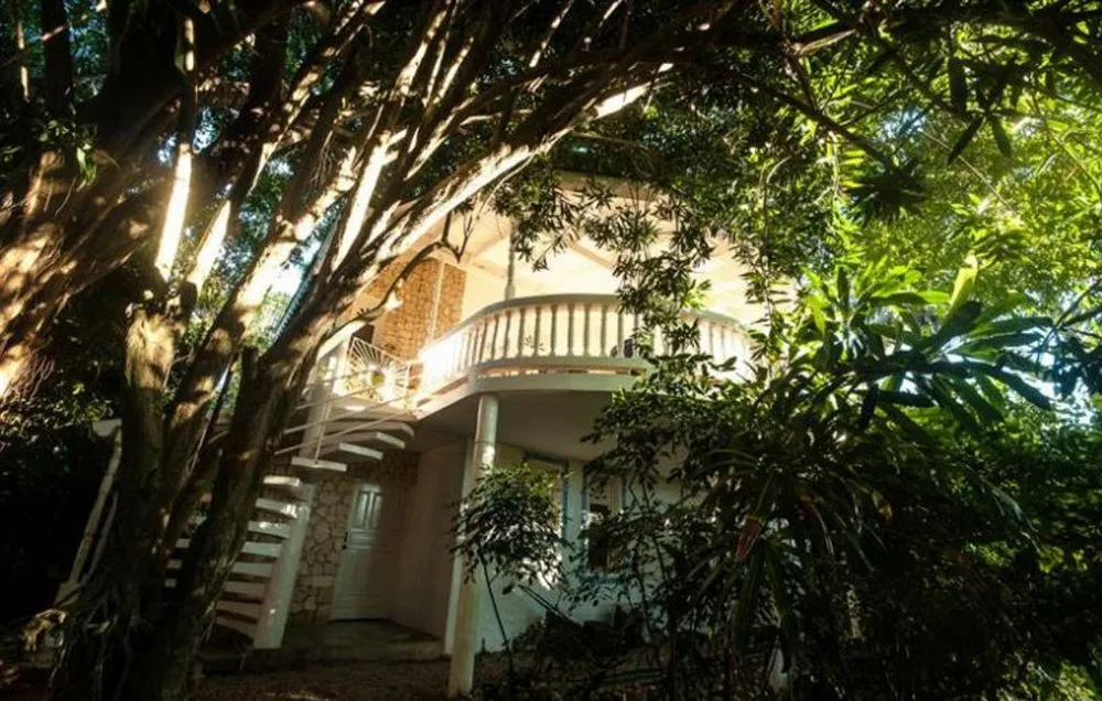Cabarete Surf Camp