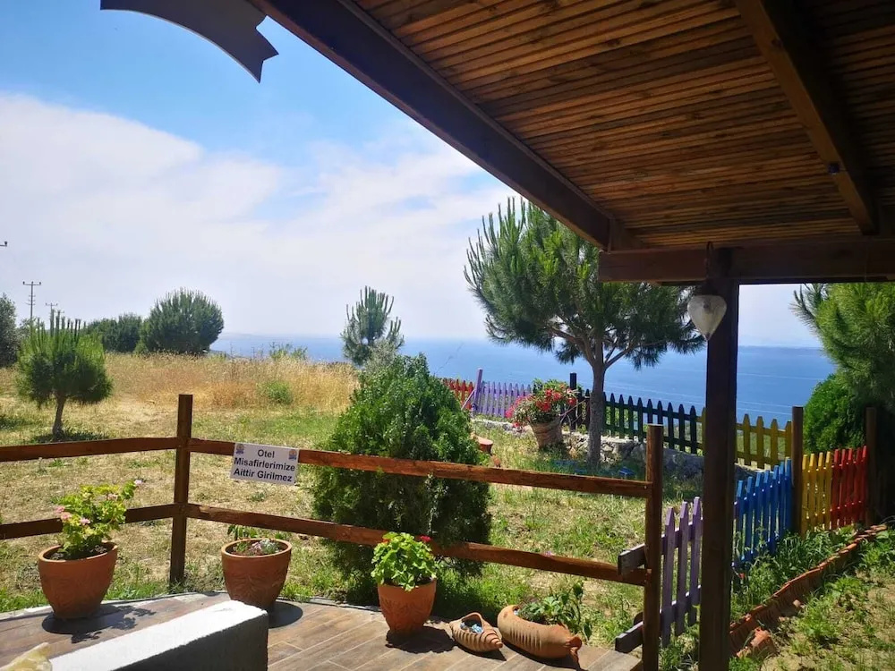 Balcony & Terrace