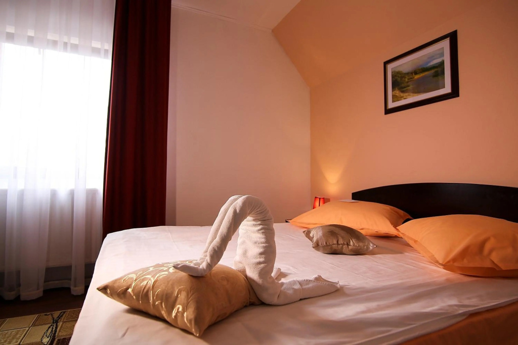 Ciric Hotel - Général