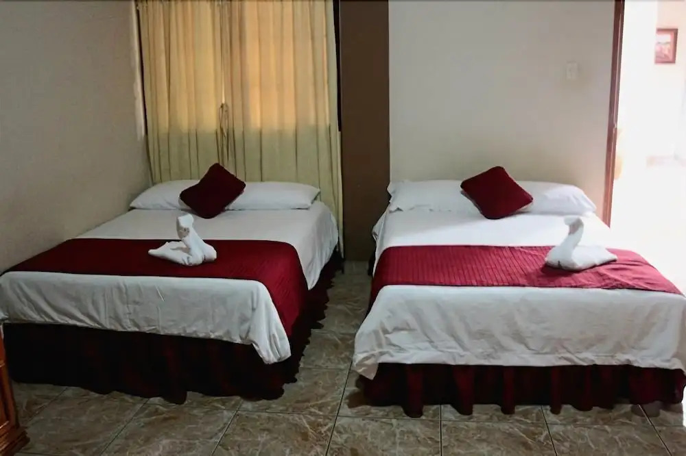 Hotel San Francisco - фото 4