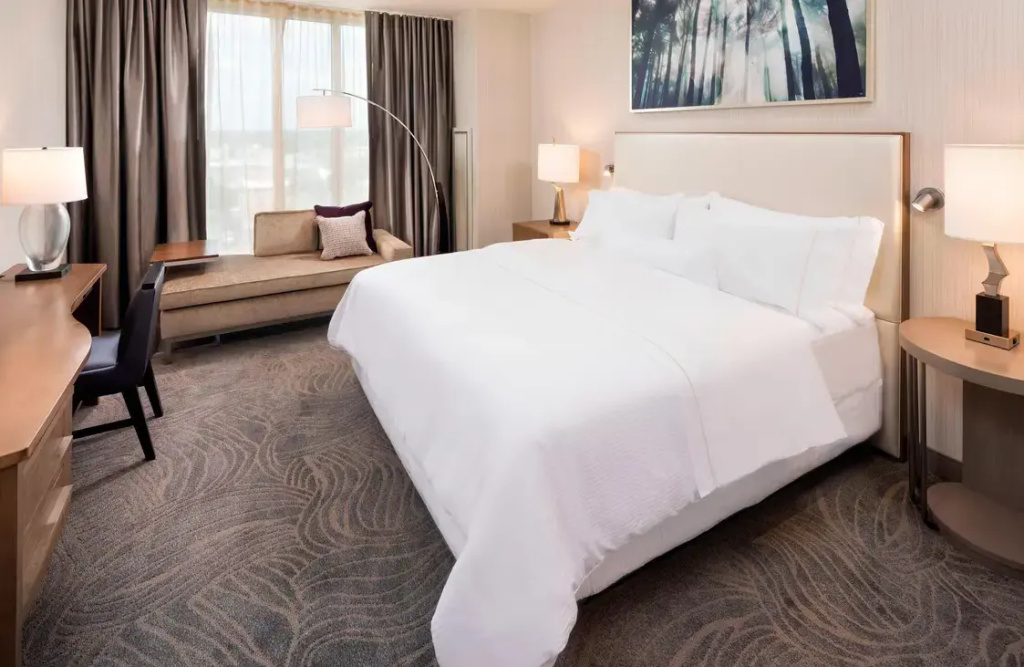 Executive Double room (full double bed)