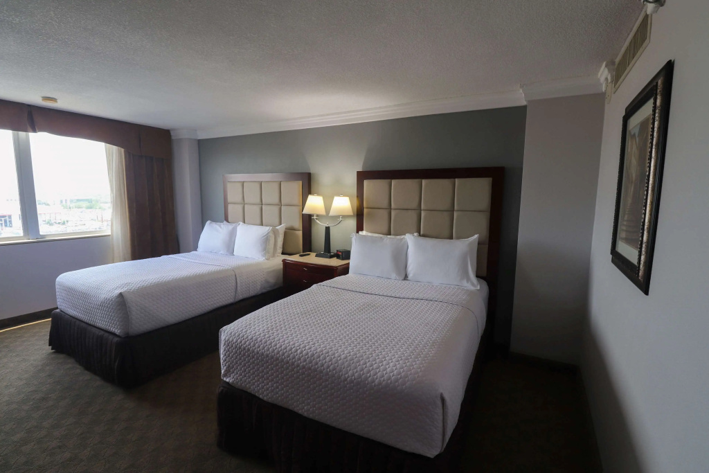 Wyndham Houston near NRG Park/Medical Center - Général