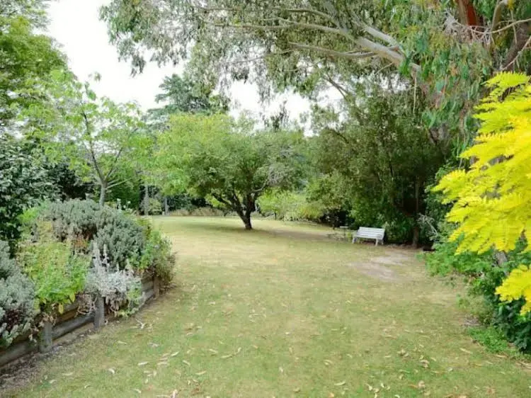 image url