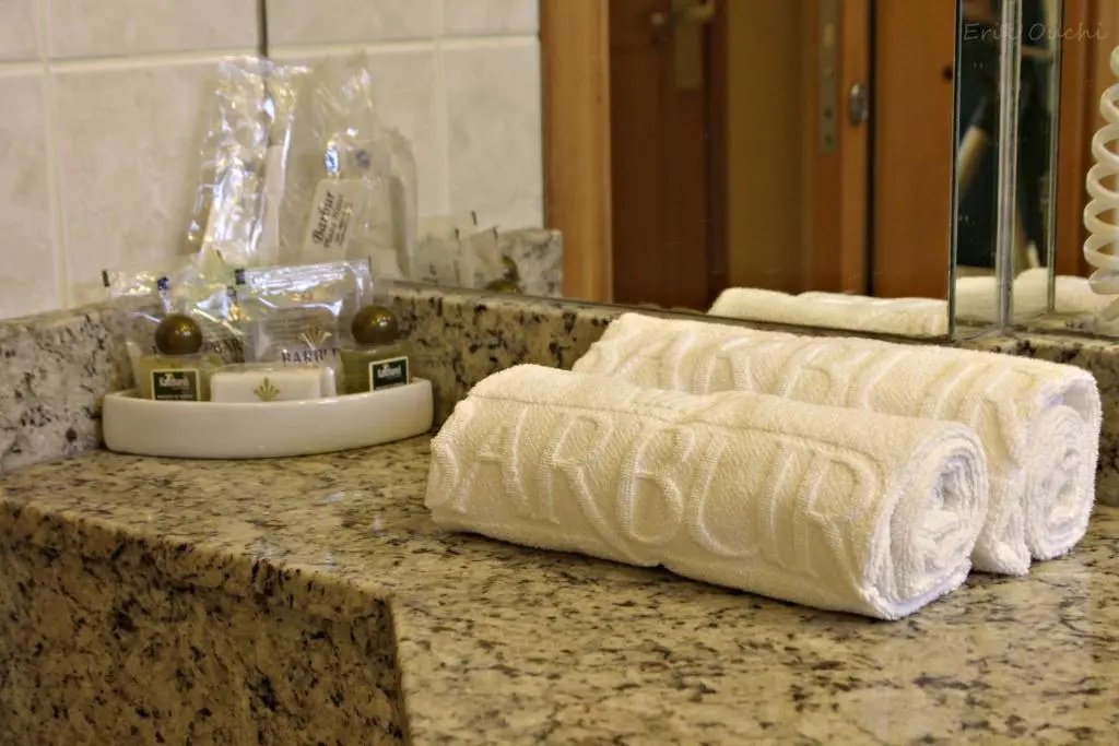 Barbur Plaza Hotel - Chambres