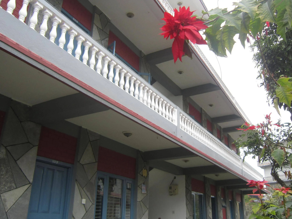 Hotel Mountain View
