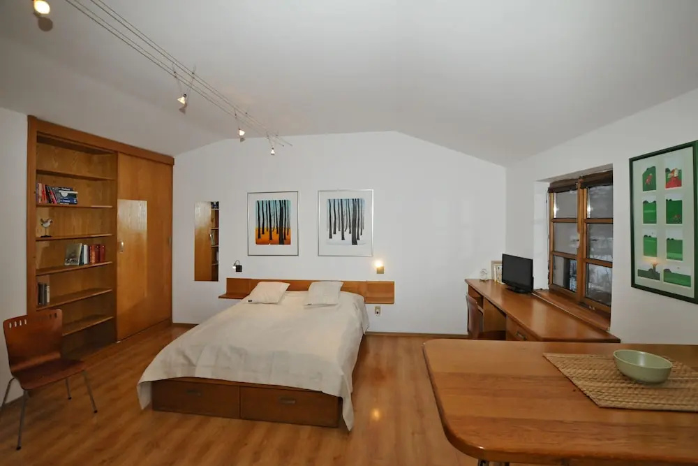 1 Bedroom Standard Apartment