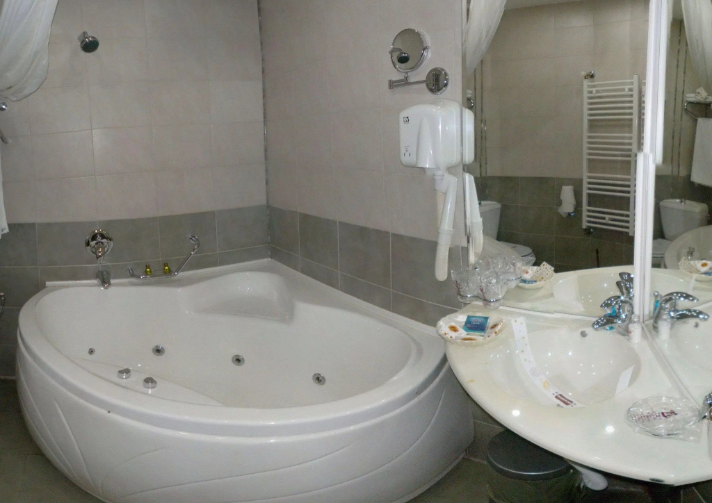 Standard Double room with city view (twin beds)