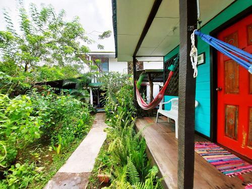 Hostal y Cabinas Tortuguero by null