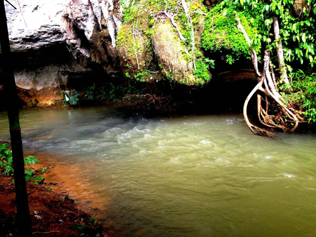 Khao Sok Silver Cliff Resort