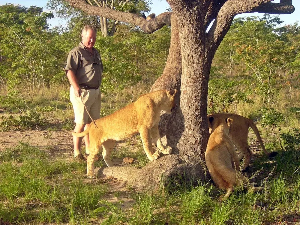 Dream of Africa Bush Lodge