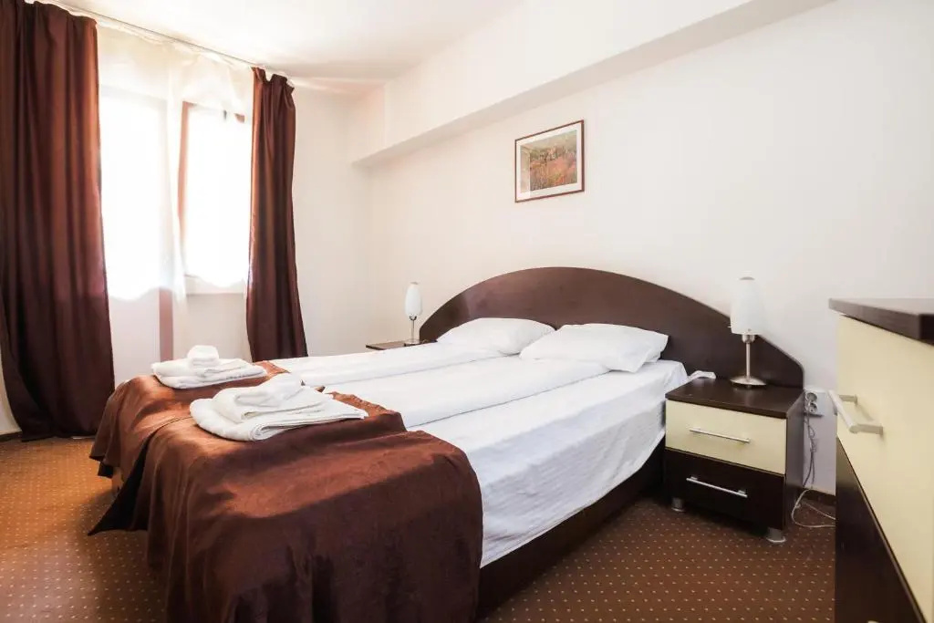 Hotel Domogled - Chambres