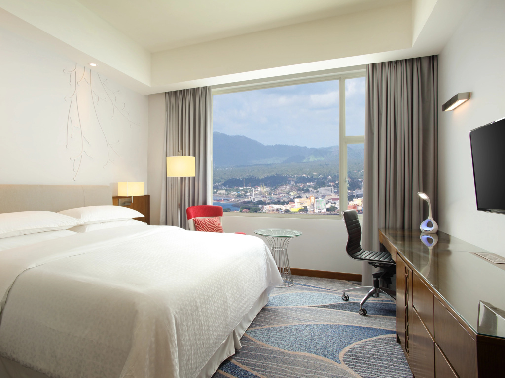 Standard Double room with city view (full double bed)